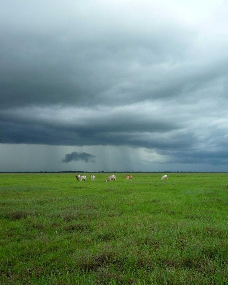 Agricultural